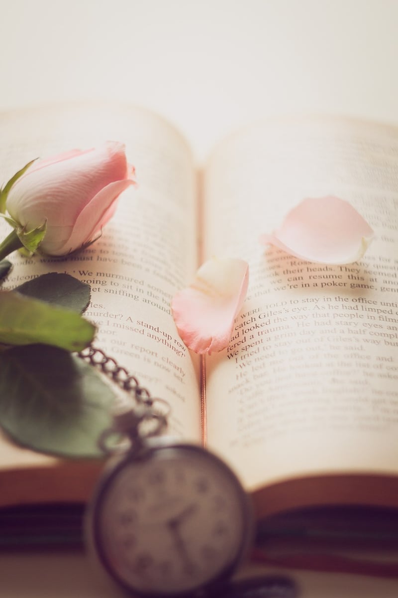 The Time Traveler's Wife Book